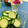 おうちごはん☆'s cooksnap of when they made 簡単！さっぱり♪塩きゅうり.