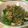 Remtan's cooksnap of when they made いんげん・じゃこ・竹輪のおかかチーズ炒め.