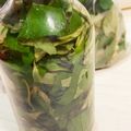 れんれんとまま's cooksnap of when they made ドクダミのお酒.