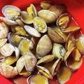 ☆shoko☆☆'s cooksnap of when they made シリコンスチーマーで簡単あさりの酒蒸し.