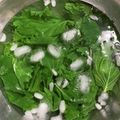 ぷニャーン's cooksnap of when they made 青シソ 塩漬け おむすび 保存.