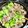 クック5JM91B☆'s cooksnap of when they made ブロッコリーと砂肝のアーリオオーリオ.