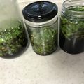 Ruriluru's cooksnap of when they made ニラの作り置き.