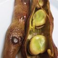 ブランシュkuu's cooksnap of when they made 焼き空豆　空豆を焼いただけ〜.