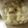 ごま・まめ・とまと's cooksnap of when they made らっきょうの塩漬け.