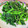 へい♡ゆー♡'s cooksnap of when they made 基本のほうれん草のごま和え.。o○.