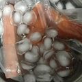 葉月優希's cooksnap of when they made 解凍新常識！お魚、お肉の上手な解凍方法.