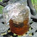 凛たんママ's cooksnap of when they made おひさま頼みのSUN♪TEA.