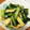 ムッチムチ's cooksnap of when they made 小松菜ちりめんじゃこ油揚げのめんつゆ炒め.