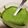あゆみの台所's cooksnap of when they made 牡蠣のワイン蒸コリアンダーソース.