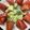 クックZFKRE9☆'s cooksnap of when they made アボカド&ゆで卵の簡単サラダ.