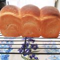 FaithAloha's cooksnap of when they made 自家製酵母の食パン(定番の山食).