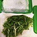 marihawaii's cooksnap of when they made シャキッと！水菜の保存方法.