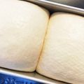 どら工場。's cooksnap of when they made ほんのり甘い♪豆乳食パン.