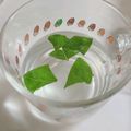 るこちゃんまま's cooksnap of when they made バジル&れもん水.
