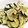 クックE662AA☆'s cooksnap of when they made ズッキーニと玉ねぎの野菜炒め.