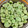 ♡ともりん's cooksnap of when they made 覚えておこう！　　そら豆のゆで方.