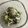 Ruriluru's cooksnap of when they made きゅうりの塩昆布チーズマヨ.