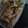 もりのりころ's cooksnap of when they made ささみときゅうりの和え物.