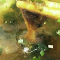 しーくれっと・らいふ's cooksnap of when they made 優しい味!簡単とろろ昆布とネギのおつゆ.