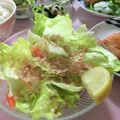 フジぽん's cooksnap of when they made パパっとできるレタスのおかかレモンサラダ.