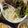 ※chami※'s cooksnap of when they made 鶏皮大根の柚子胡椒サラダ～ダイエット～.