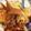 ほちる。's cooksnap of when they made ❁レモンフレンチトースト❁.
