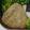 G_Yossan's cooksnap of when they made とろろ昆布おにぎり.