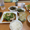 【斗騎】's cooksnap of when they made タレが美味い！お家で本格中華「よだれ鶏」.