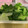 マールマル's cooksnap of when they made レタスの簡単お浸し.
