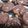 あーこ2929's cooksnap of when they made アーモンドココアクッキー。.