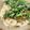 クックM6DK2O☆'s cooksnap of when they made サクッ旨っ！釜玉うどん　春菊の天ぷら.