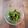 クックL8U9HI☆'s cooksnap of when they made ピーマンとしらすのきんぴら.