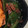 G_Yossan's cooksnap of when they made ピーマンのおかか和え.
