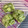 しゅい6's cooksnap of when they made きゅうり　の冷凍保存方法.