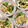 ふたごゆき's cooksnap of when they made 給食のもやしのごまあえ.