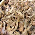 みこふ◉'s cooksnap of when they made サバ缶とシメジ舞茸のごま油炒め.