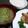 ひっこ's cooksnap of when they made たまねぎと絹さやの味噌汁.