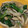 クック0CS64I☆'s cooksnap of when they made あさりバターの残り汁活用～エコレシピ～.