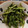 ☆hikonyan☆'s cooksnap of when they made 簡単！絶品おつまみ＊枝豆のオイスター炒め.