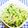ととろ＆めい's cooksnap of when they made 野菜モリモリ☆中華くらげのもやしキュウリ.