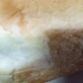 happykote's cooksnap of when they made 娘に伝えたい＊HBで早焼シンプル食パン＊.