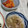 のんたんΣ's cooksnap of when they made 豚と舞茸の生姜焼き.
