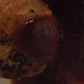 アズキちゃん6724's cooksnap of when they made うちのハンバーグ☆.
