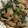 マジTOYS's cooksnap of when they made 豚こま・ニラ・玉ねぎの生姜焼き♪.