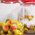 kaikokoママ's cooksnap of when they made 完熟梅の減塩梅干し.