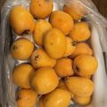 クックX9XVI6☆'s cooksnap of when they made びわジャム.