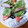 あけにゅう's cooksnap of when they made かにかまのしそ巻き揚げ.