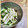 海理ママ's cooksnap of when they made めかぶと長芋和え.