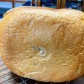 あっちゃんキッチン♪'s cooksnap of when they made HB羽根跡を残さない取り方とタイミング.